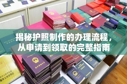 蓝山揭秘护照制作的办理流程，从申请到领取的完整指南