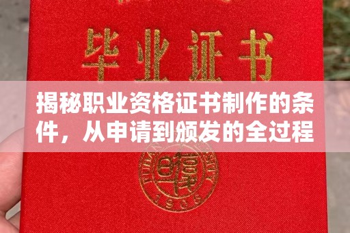 蓝山揭秘职业资格证书制作的条件，从申请到颁发的全过程