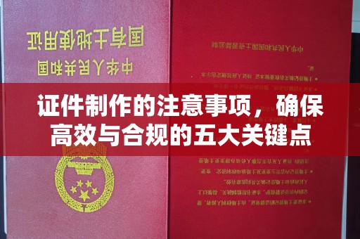 蓝山证件制作的注意事项，确保高效与合规的五大关键点
