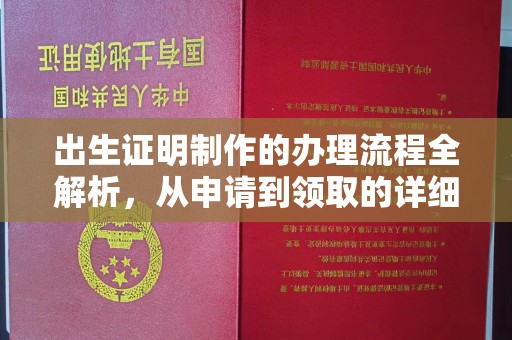 蓝山出生证明制作的办理流程全解析，从申请到领取的详细指南