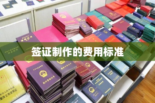 蓝山签证制作的费用标准