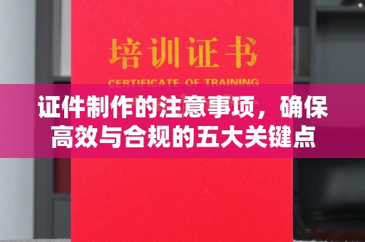 蓝山证件制作的注意事项，确保高效与合规的五大关键点