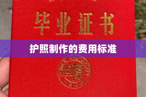 蓝山护照制作的费用标准