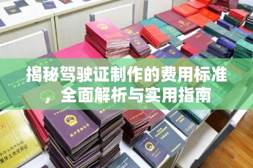 蓝山揭秘驾驶证制作的费用标准，全面解析与实用指南