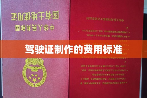 蓝山驾驶证制作的费用标准