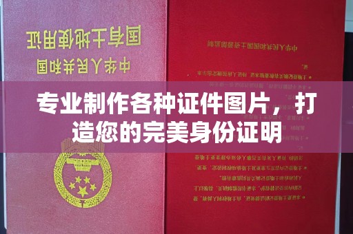 蓝山专业制作各种证件图片，打造您的完美身份证明