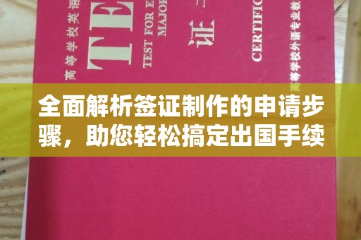 蓝山全面解析签证制作的申请步骤，助您轻松搞定出国手续