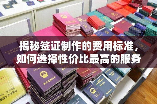 蓝山揭秘签证制作的费用标准，如何选择性价比最高的服务？