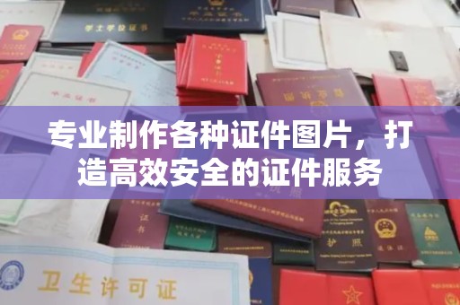 蓝山专业制作各种证件图片，打造高效安全的证件服务