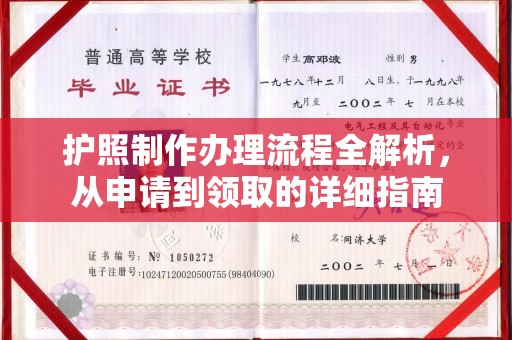 蓝山护照制作办理流程全解析，从申请到领取的详细指南