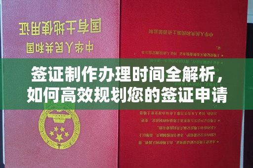 蓝山签证制作办理时间全解析，如何高效规划您的签证申请流程