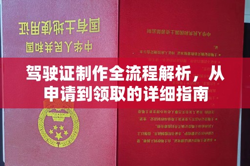 蓝山驾驶证制作全流程解析，从申请到领取的详细指南